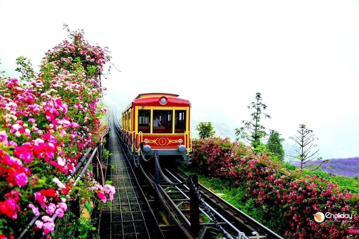 Tàu Hỏa Leo Núi Mường Hoa Khứ Hồi