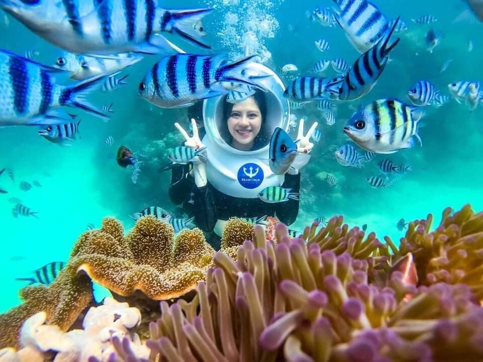Tour khám phá đại dương - Đi bộ dưới đáy biển