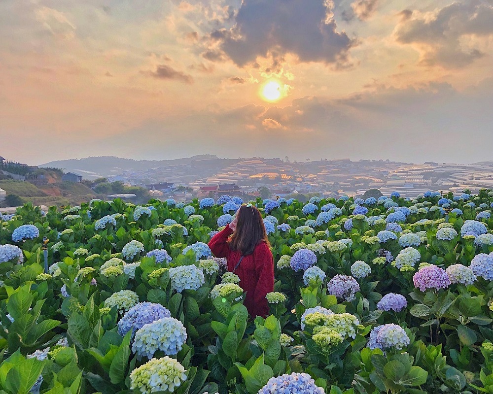 Tour thành phố ngàn hoa Nha Trang - Đà Lạt